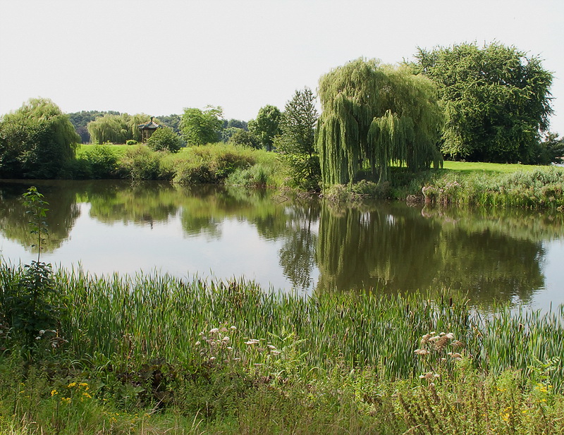 Land Aasee BocholtIMG_1693 als Smart-Objekt-1 Kopie.jpg - Links oben steht der chienesische Pavillon in einer traumhaften Landschaft